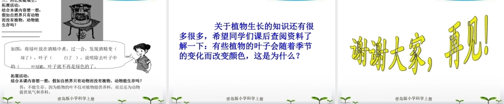 青岛小学科学四上《3 植物的叶》PPT课件 (7)【加微信公众号 jiaoxuewuyou 九折优惠 qq 1119139686】.ppt