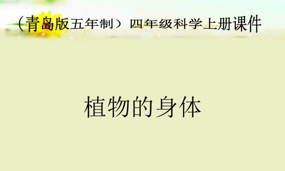 青岛小学科学四上《1 植物的身体》PPT课件 (7)【加微信公众号 jiaoxuewuyou 九折优惠 qq 1119139686】.ppt