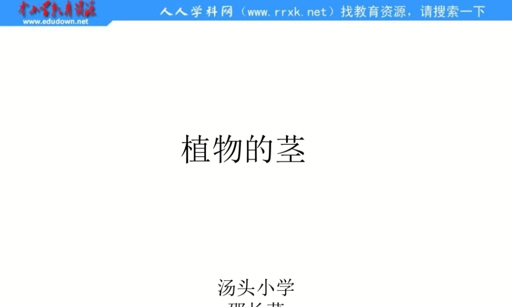 青岛小学科学四上《4 植物的茎》PPT课件 (3)【加微信公众号 jiaoxuewuyou 九折优惠 qq 1119139686】.ppt