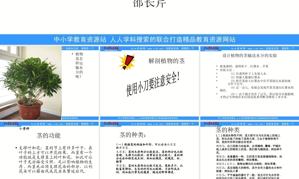 青岛小学科学四上《4 植物的茎》PPT课件 (3)【加微信公众号 jiaoxuewuyou 九折优惠 qq 1119139686】.ppt