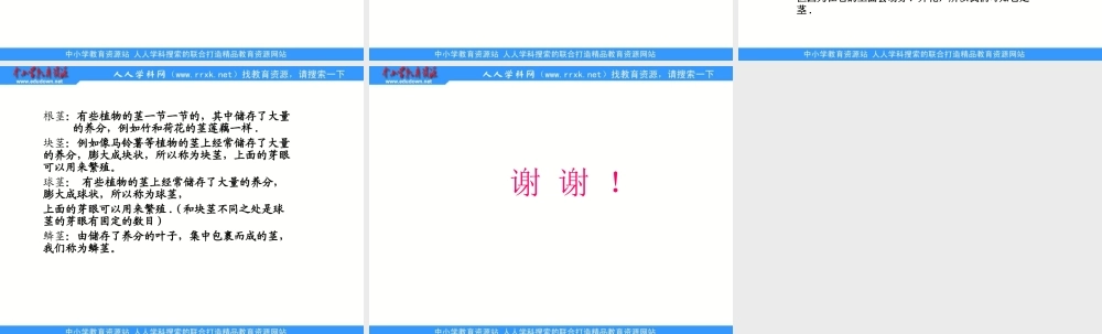 青岛小学科学四上《4 植物的茎》PPT课件 (3)【加微信公众号 jiaoxuewuyou 九折优惠 qq 1119139686】.ppt