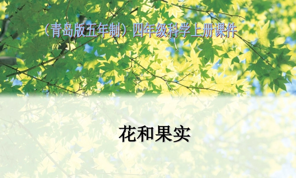 青岛小学科学四上《5 花和果实》PPT课件 (3)【加微信公众号 jiaoxuewuyou 九折优惠 qq 1119139686】.ppt