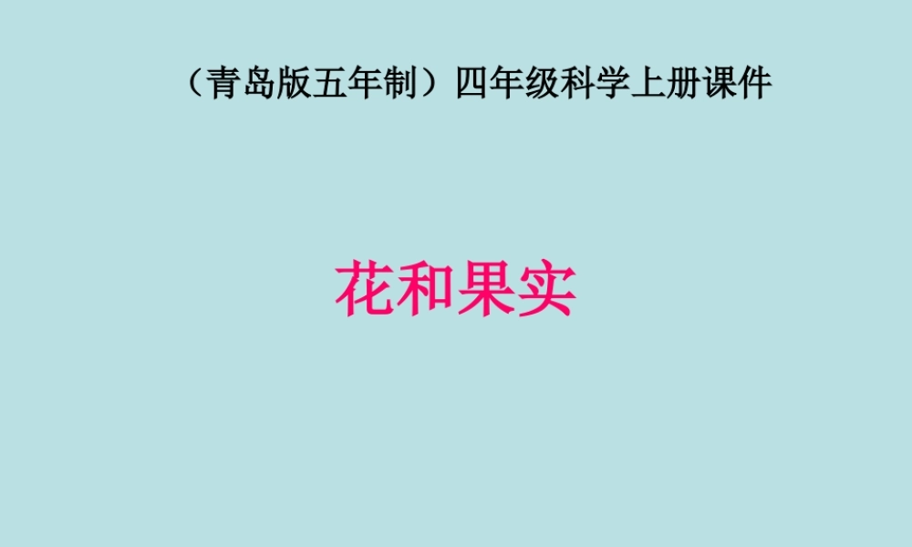 青岛小学科学四上《5 花和果实》PPT课件 (2)【加微信公众号 jiaoxuewuyou 九折优惠 qq 1119139686】.ppt