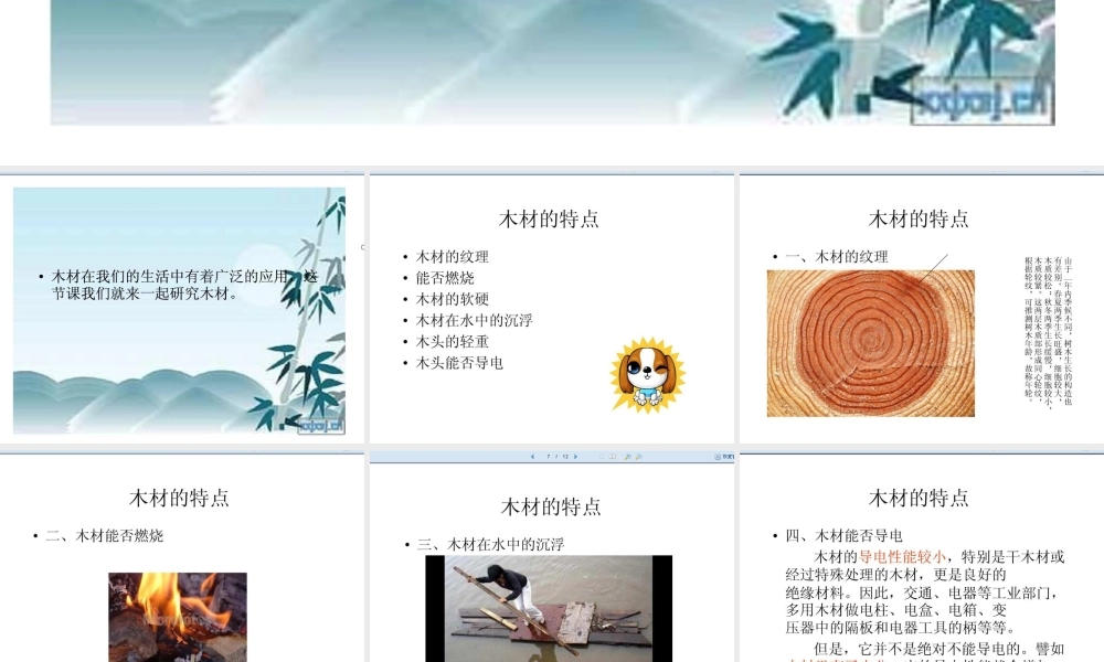 青岛小学科学四上《8 木材》PPT课件 (3)【加微信公众号 jiaoxuewuyou 九折优惠 qq 1119139686】.ppt
