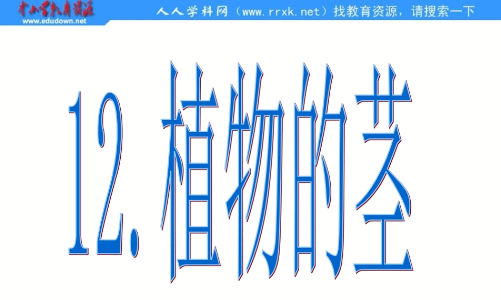 青岛小学科学四上《4 植物的茎》PPT课件 (4)【加微信公众号 jiaoxuewuyou 九折优惠 qq 1119139686】.ppt