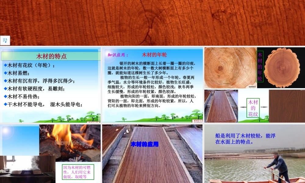 青岛小学科学四上《8 木材》PPT课件 (1)【加微信公众号 jiaoxuewuyou 九折优惠 qq 1119139686】.ppt