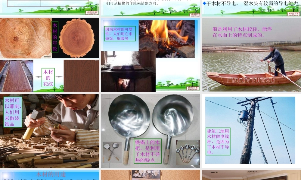 青岛小学科学四上《8 木材》PPT课件 (5)【加微信公众号 jiaoxuewuyou 九折优惠 qq 1119139686】.ppt