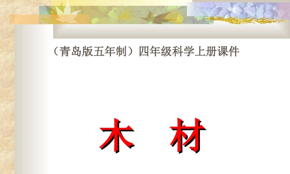 青岛小学科学四上《8 木材》PPT课件【加微信公众号 jiaoxuewuyou 九折优惠 qq 1119139686】.ppt