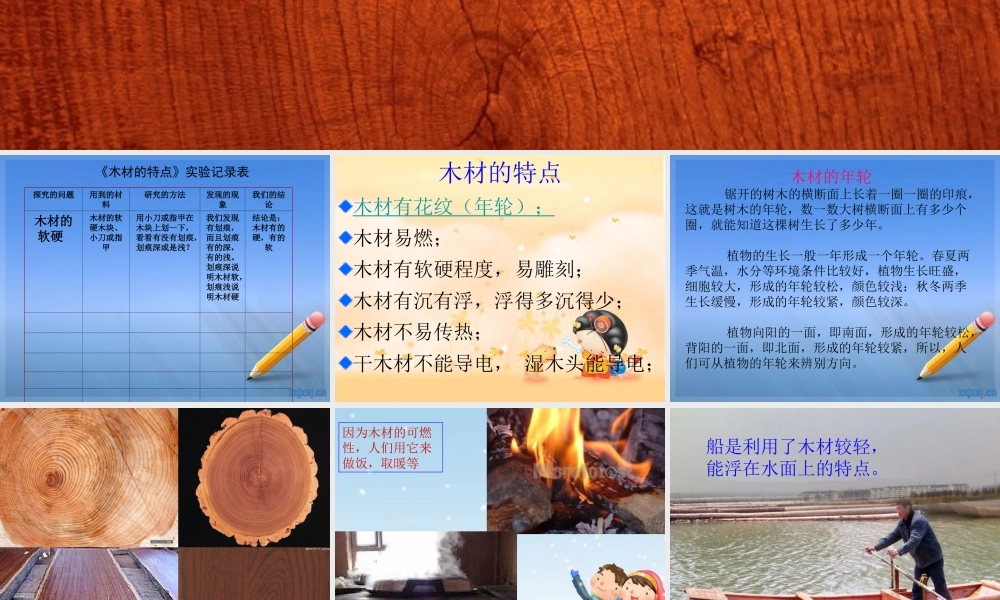 青岛小学科学四上《8 木材》PPT课件 (12)【加微信公众号 jiaoxuewuyou 九折优惠 qq 1119139686】.ppt