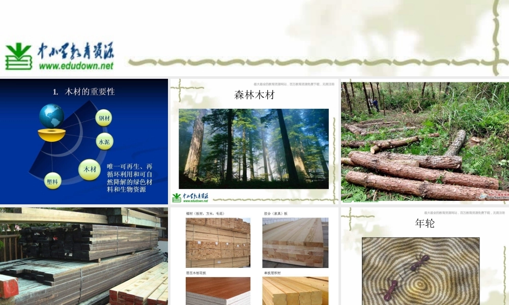 青岛小学科学四上《8 木材》PPT课件 (14)【加微信公众号 jiaoxuewuyou 九折优惠 qq 1119139686】.ppt