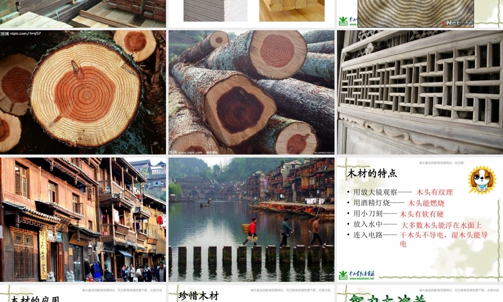 青岛小学科学四上《8 木材》PPT课件 (14)【加微信公众号 jiaoxuewuyou 九折优惠 qq 1119139686】.ppt