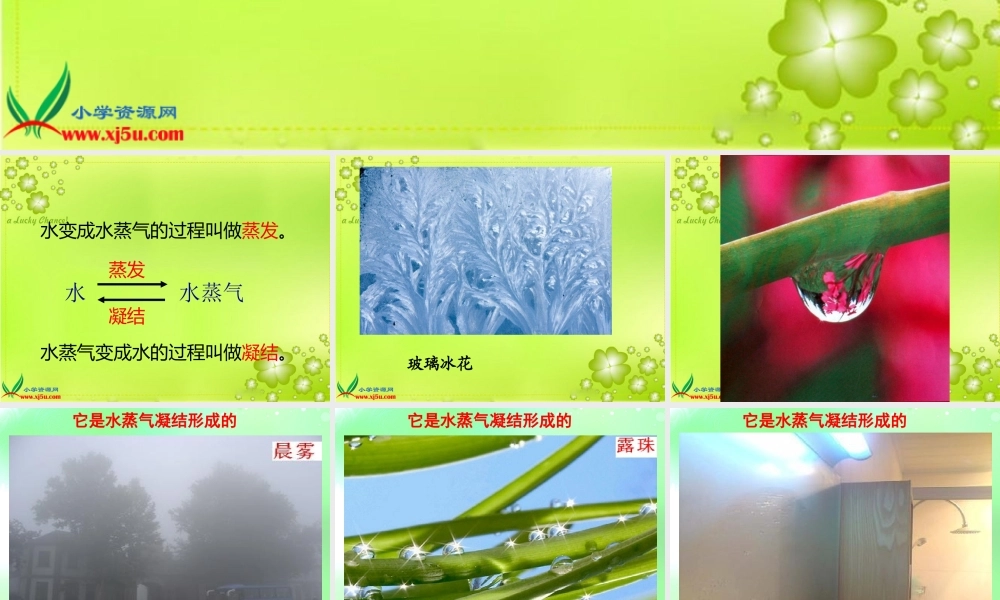 青岛小学科学四上《15 凝结》PPT课件 (1)【加微信公众号 jiaoxuewuyou 九折优惠 qq 1119139686】.ppt