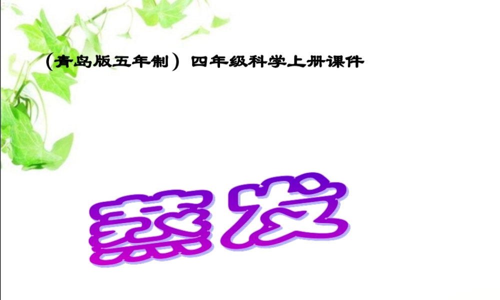 青岛小学科学四上《13 蒸发》PPT课件 (1)【加微信公众号 jiaoxuewuyou 九折优惠 qq 1119139686】.ppt