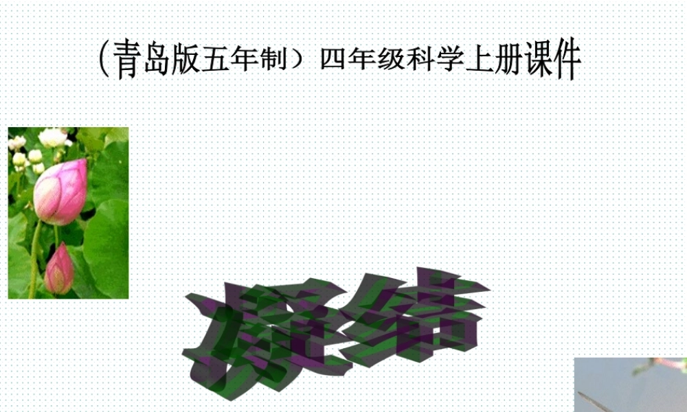 青岛小学科学四上《15 凝结》PPT课件 (2)【加微信公众号 jiaoxuewuyou 九折优惠 qq 1119139686】.ppt