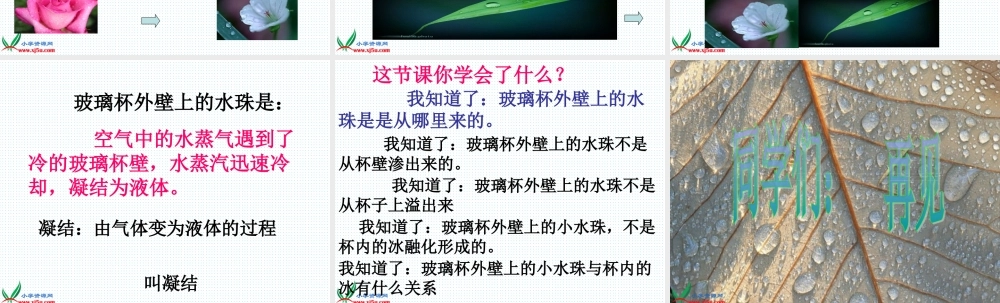 青岛小学科学四上《15 凝结》PPT课件 (2)【加微信公众号 jiaoxuewuyou 九折优惠 qq 1119139686】.ppt