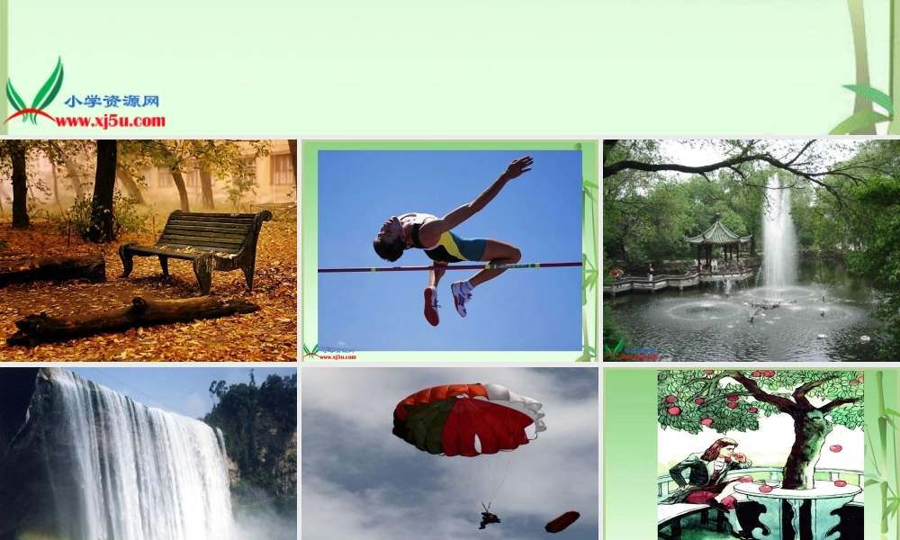 青岛小学科学四上《20 苹果为什么落地》PPT课件 (2)【加微信公众号 jiaoxuewuyou 九折优惠 qq 1119139686】.ppt