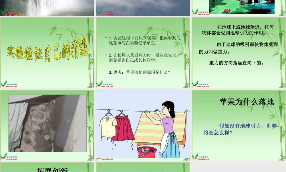 青岛小学科学四上《20 苹果为什么落地》PPT课件 (2)【加微信公众号 jiaoxuewuyou 九折优惠 qq 1119139686】.ppt