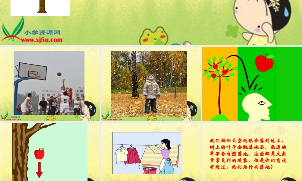 青岛小学科学四上《20 苹果为什么落地》PPT课件 (1)【加微信公众号 jiaoxuewuyou 九折优惠 qq 1119139686】.ppt