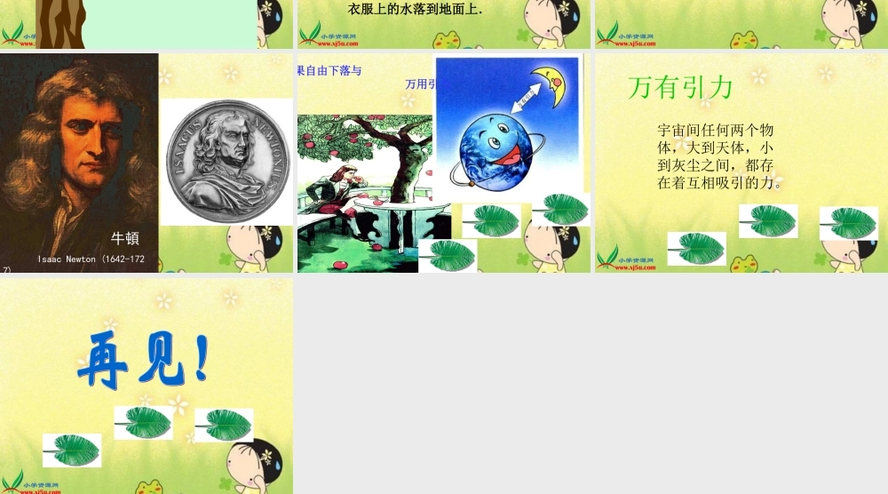 青岛小学科学四上《20 苹果为什么落地》PPT课件 (1)【加微信公众号 jiaoxuewuyou 九折优惠 qq 1119139686】.ppt