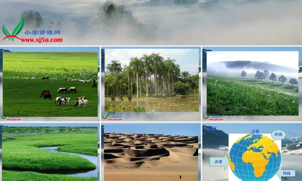 青岛小学科学四上《19 地球上有什么》PPT课件【加微信公众号 jiaoxuewuyou 九折优惠 qq 1119139686】.ppt