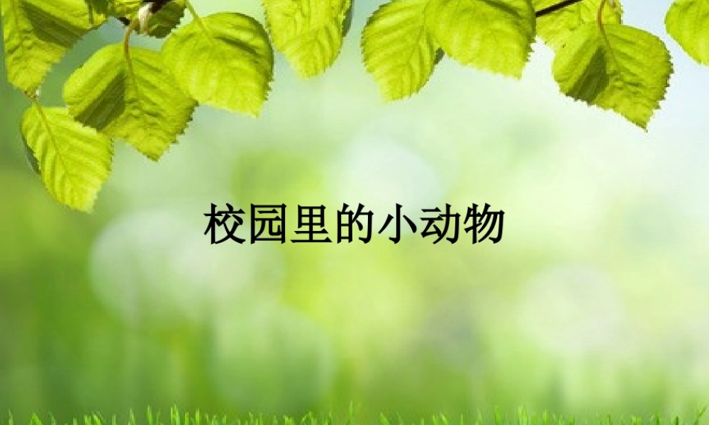 人教小学科学1.2校园里的动物【加微信公众号 jiaoxuewuyou 九折优惠 qq 1119139686】.ppt