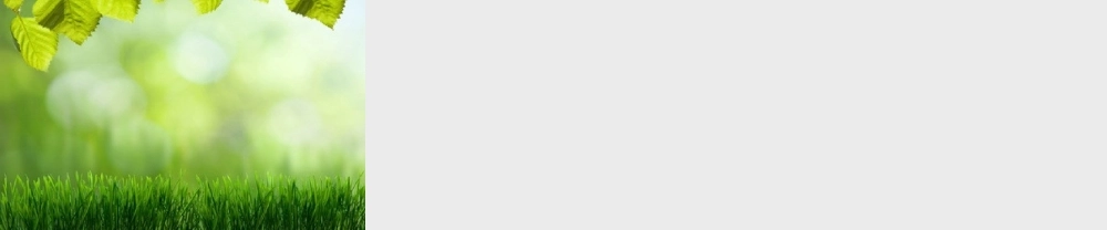 人教小学科学1.2校园里的动物【加微信公众号 jiaoxuewuyou 九折优惠 qq 1119139686】.ppt