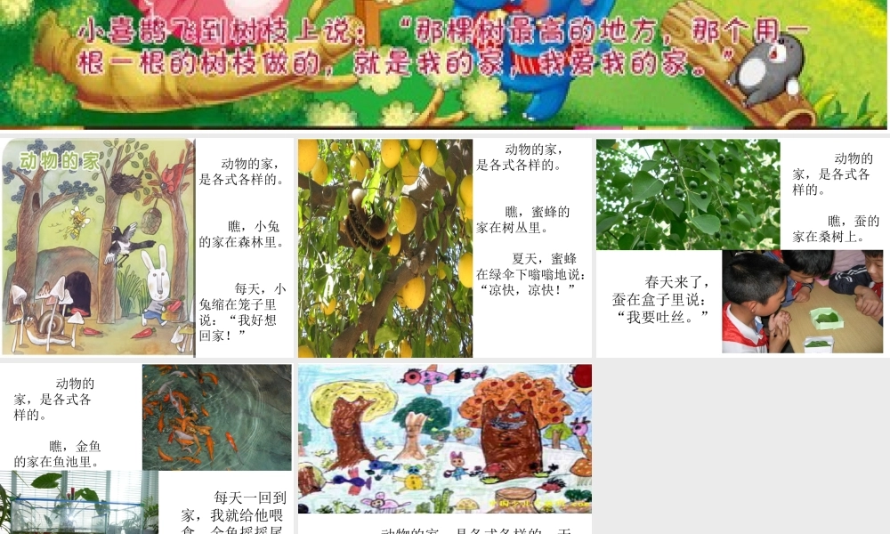 人教小学科学1.3动物的家【加微信公众号 jiaoxuewuyou 九折优惠 qq 1119139686】.ppt