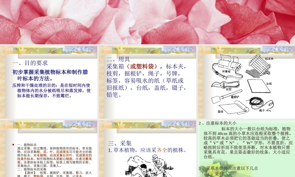 人教小学科学2.2制作植物标本【加微信公众号 jiaoxuewuyou 九折优惠 qq 1119139686】.ppt