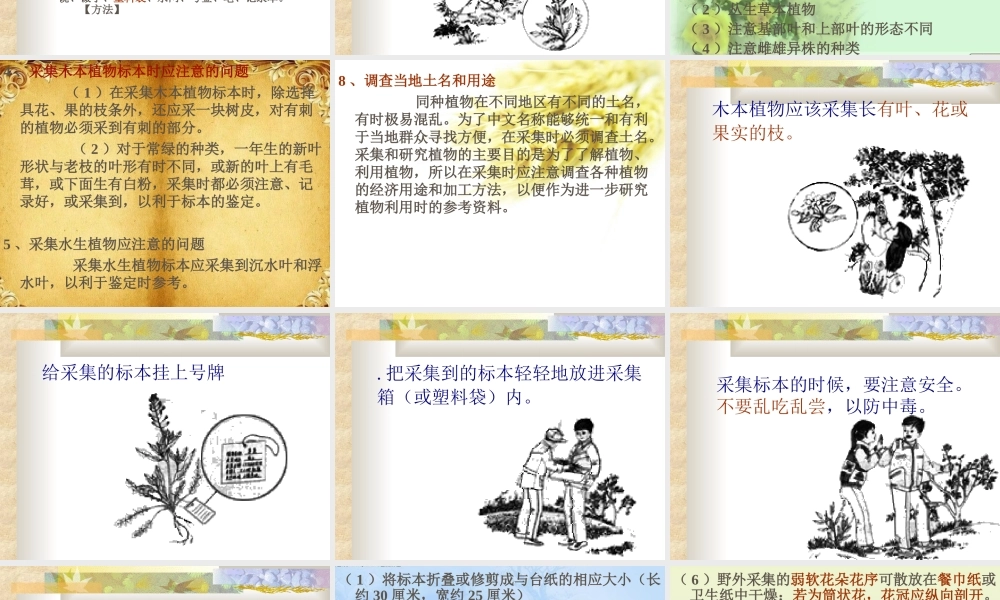 人教小学科学2.2制作植物标本【加微信公众号 jiaoxuewuyou 九折优惠 qq 1119139686】.ppt