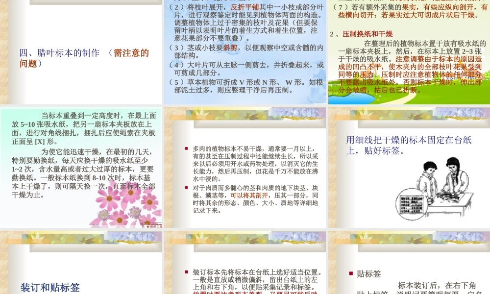 人教小学科学2.2制作植物标本【加微信公众号 jiaoxuewuyou 九折优惠 qq 1119139686】.ppt