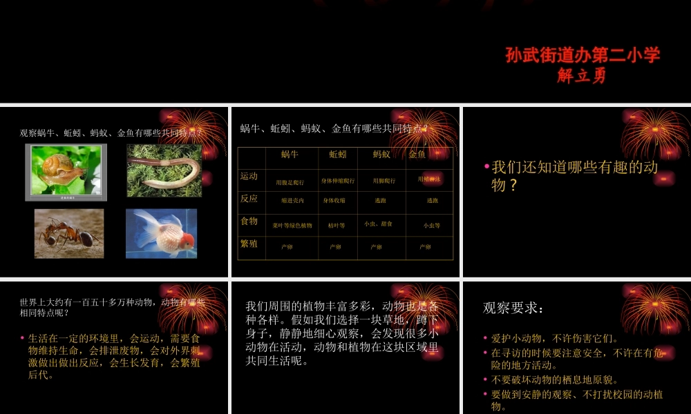 人教小学科学2.4我们和动物有哪些相同和不同【加微信公众号 jiaoxuewuyou 九折优惠 qq 1119139686】.ppt