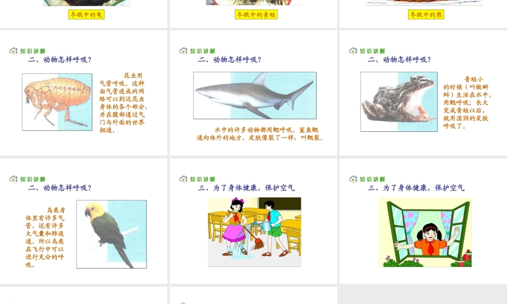 人教小学科学3.2离不开的空气【加微信公众号 jiaoxuewuyou 九折优惠 qq 1119139686】.ppt