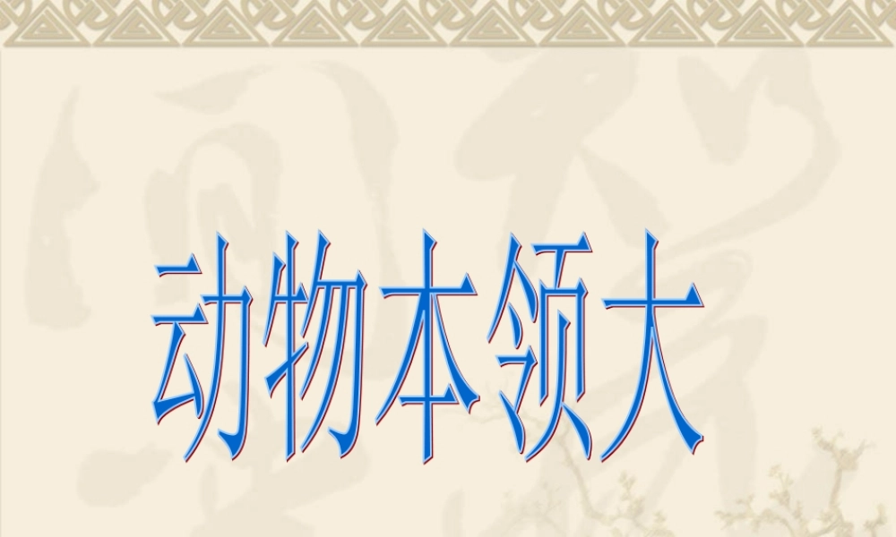 人教小学科学3.1小动物本领大 【加微信公众号 jiaoxuewuyou 九折优惠 qq 1119139686】.ppt