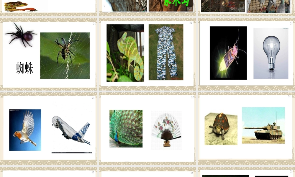 人教小学科学3.1小动物本领大 【加微信公众号 jiaoxuewuyou 九折优惠 qq 1119139686】.ppt