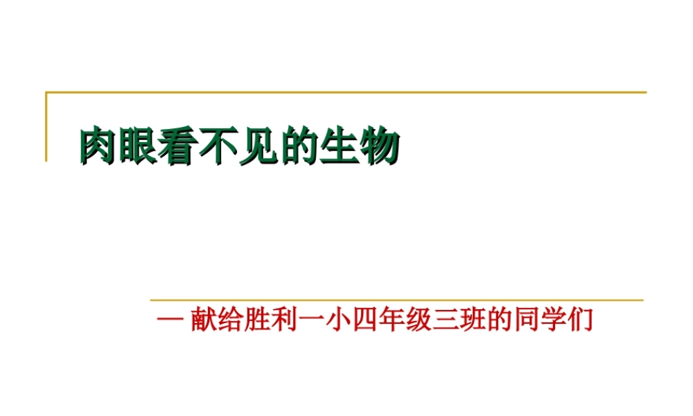人教小学科学2.4肉眼看不见的生物 【加微信公众号 jiaoxuewuyou 九折优惠 qq 1119139686】.ppt