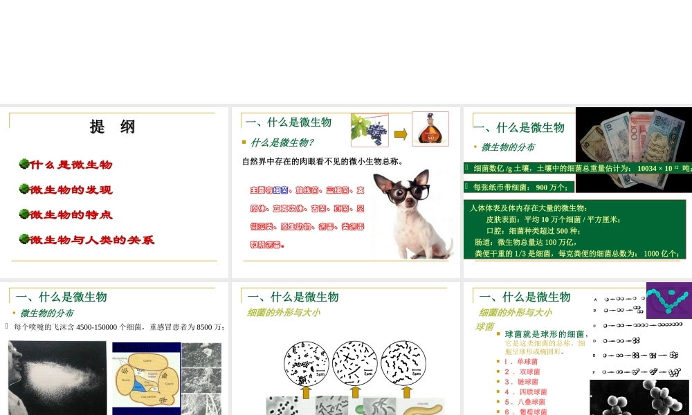 人教小学科学2.4肉眼看不见的生物 【加微信公众号 jiaoxuewuyou 九折优惠 qq 1119139686】.ppt