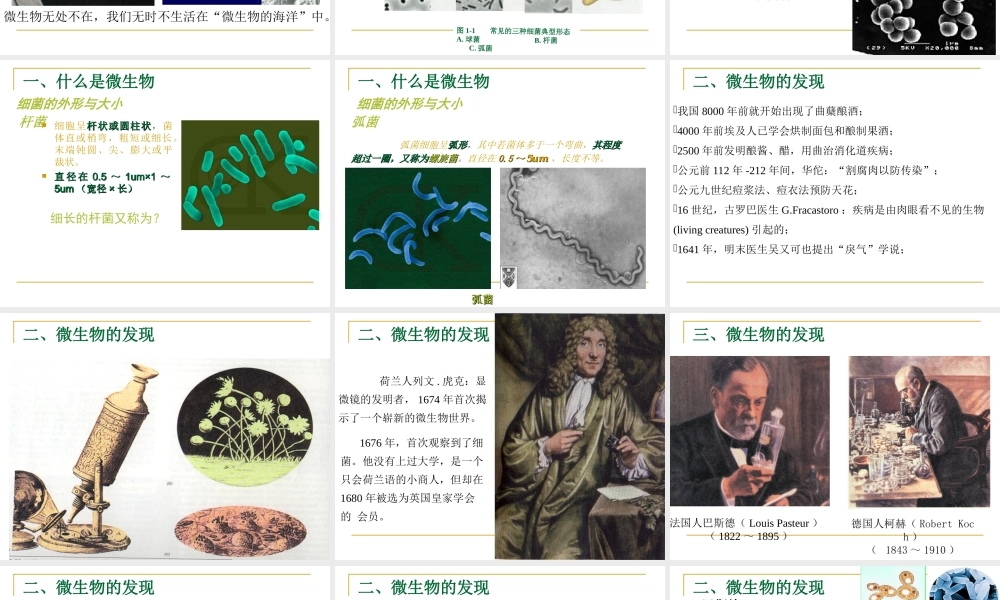 人教小学科学2.4肉眼看不见的生物 【加微信公众号 jiaoxuewuyou 九折优惠 qq 1119139686】.ppt