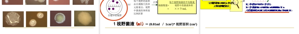 人教小学科学2.4肉眼看不见的生物 【加微信公众号 jiaoxuewuyou 九折优惠 qq 1119139686】.ppt