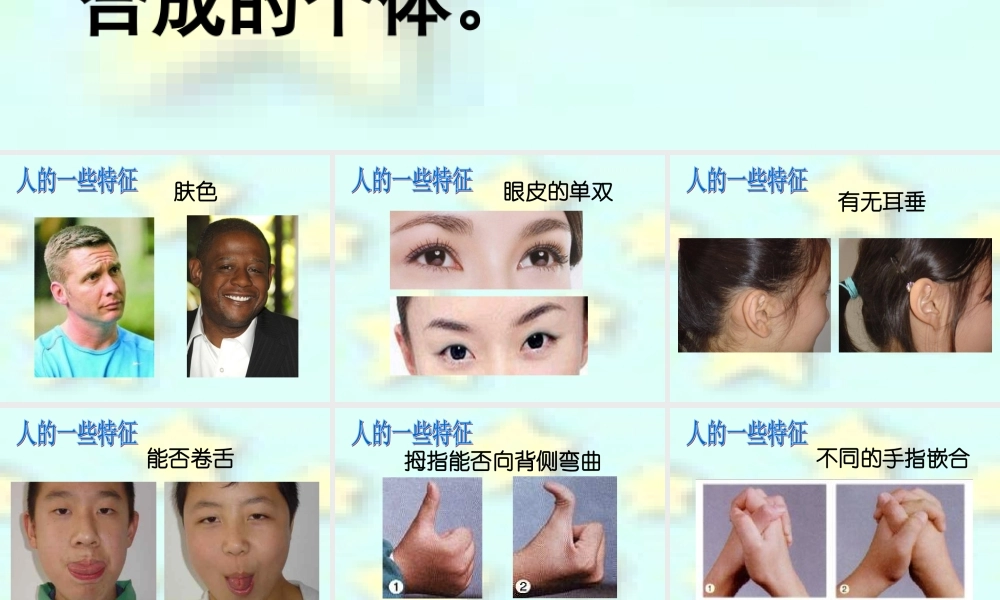首师大小学科学六上《1.人的性状》PPT课件【加微信公众号 jiaoxuewuyou 九折优惠qq 1119139686】.ppt