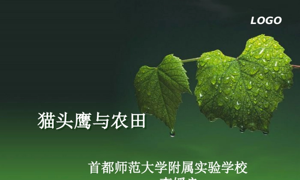 首师大小学科学六上《6.猫头鹰与农田》PPT课件(1)【加微信公众号 jiaoxuewuyou 九折优惠qq 1119139686】.ppt