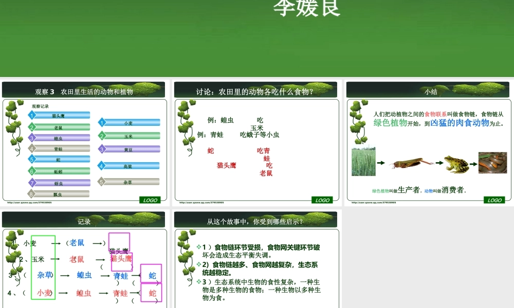 首师大小学科学六上《6.猫头鹰与农田》PPT课件(1)【加微信公众号 jiaoxuewuyou 九折优惠qq 1119139686】.ppt