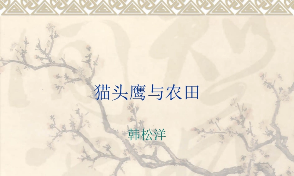 首师大小学科学六上《6.猫头鹰与农田》PPT课件(2)【加微信公众号 jiaoxuewuyou 九折优惠qq 1119139686】.ppt