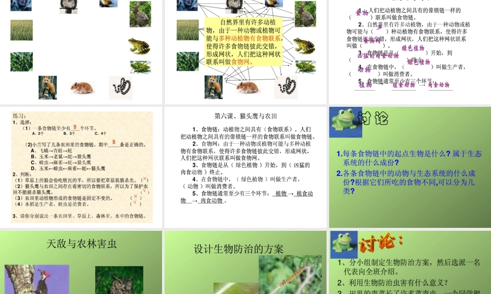 首师大小学科学六上《6.猫头鹰与农田》PPT课件(2)【加微信公众号 jiaoxuewuyou 九折优惠qq 1119139686】.ppt