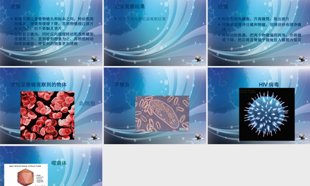 首师大小学科学六下《1.显微镜的发明与发展》PPT课件【加微信公众号 jiaoxuewuyou 九折优惠qq 1119139686】.ppt