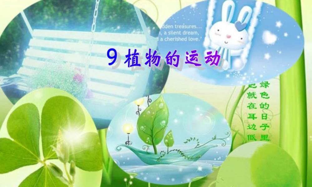 首师大小学科学六上《19.动物的考察》PPT课件【加微信公众号 jiaoxuewuyou 九折优惠qq 1119139686】.ppt