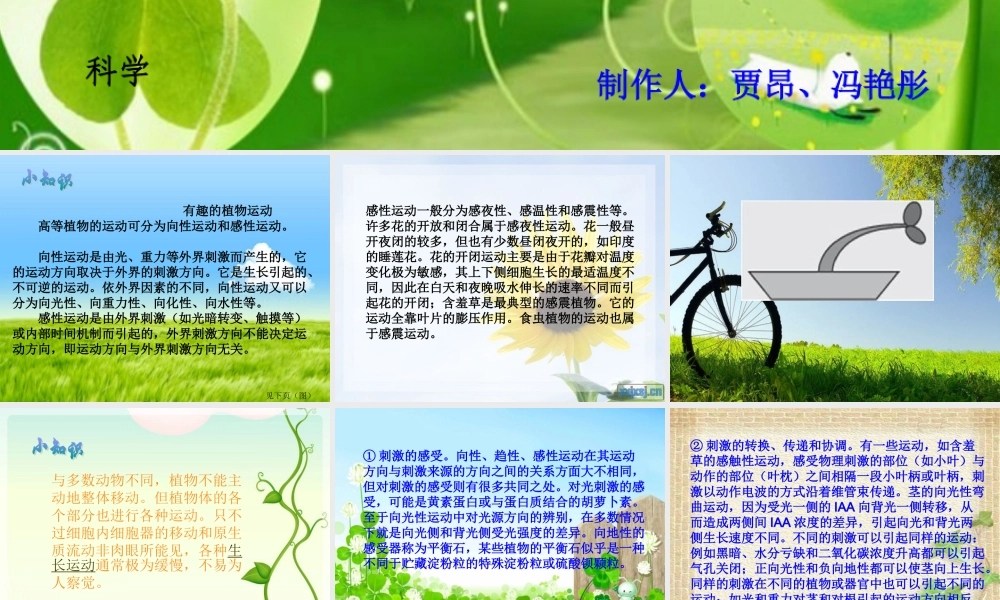 首师大小学科学六上《19.动物的考察》PPT课件【加微信公众号 jiaoxuewuyou 九折优惠qq 1119139686】.ppt