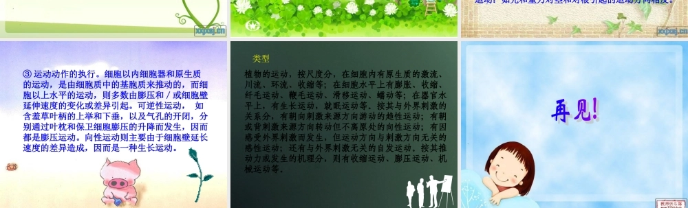 首师大小学科学六上《19.动物的考察》PPT课件【加微信公众号 jiaoxuewuyou 九折优惠qq 1119139686】.ppt