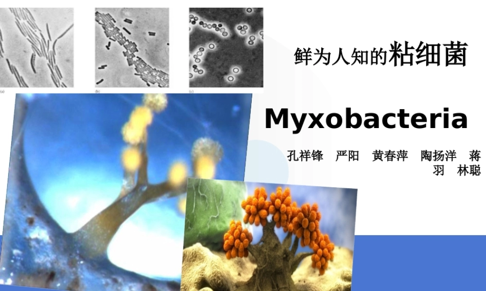 首师大小学科学六下《4.微生物的技术》PPT课件【加微信公众号 jiaoxuewuyou 九折优惠qq 1119139686】.ppt