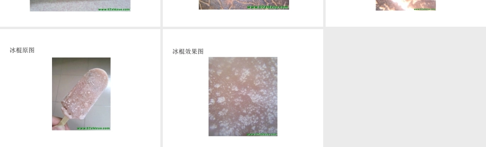 首师大小学科学六下《2.制作简易显微镜》PPT课件【加微信公众号 jiaoxuewuyou 九折优惠qq 1119139686】.ppt