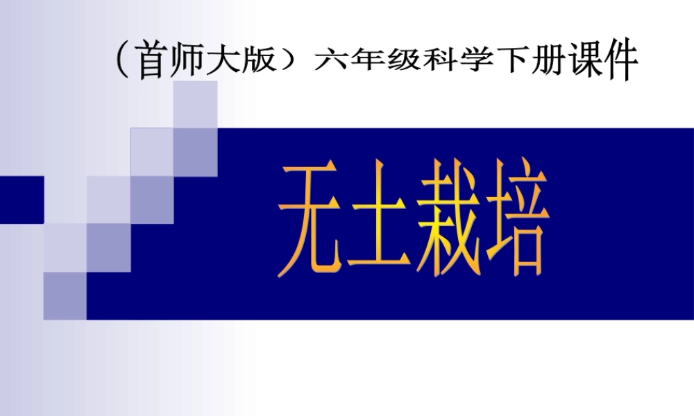 首师大小学科学六下《14.无土栽培》PPT课件【加微信公众号 jiaoxuewuyou 九折优惠qq 1119139686】.ppt